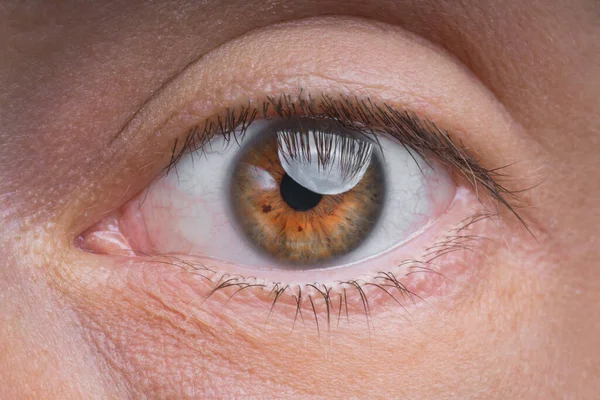 Zbliżenie młody człowiek pojedynczy brązowy oko — Zdjęcie stockowe