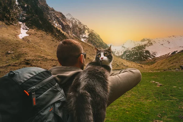 Homem Andando Livre Nas Montanhas Com Seu Amigo Gato Ombro — Fotografia de Stock