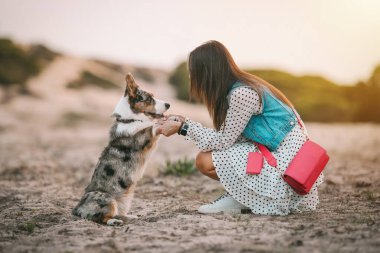 Genç bir kadın gün batımında güzel sosisli sandviçiyle dışarıda oturuyor. Hayvanlar için sevgi. Sahibi küçük bir köpek. Güven ve dostluk kavramı. Yüksek kalite fotoğraf