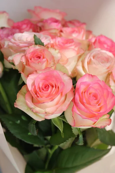 Букет Розово Бежевых Розовых Цветов Торжеств — стоковое фото