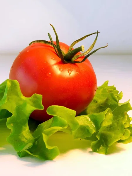 Zeleninová Rajčata Zeleným Salátem — Stock fotografie