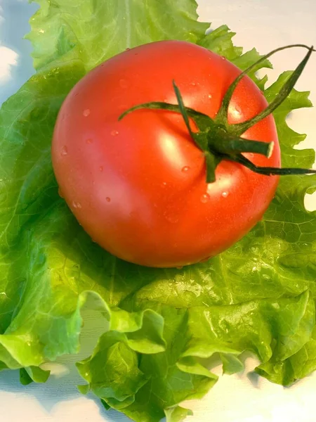 Pomodori Verdure Con Lattuga Verdi — Foto Stock