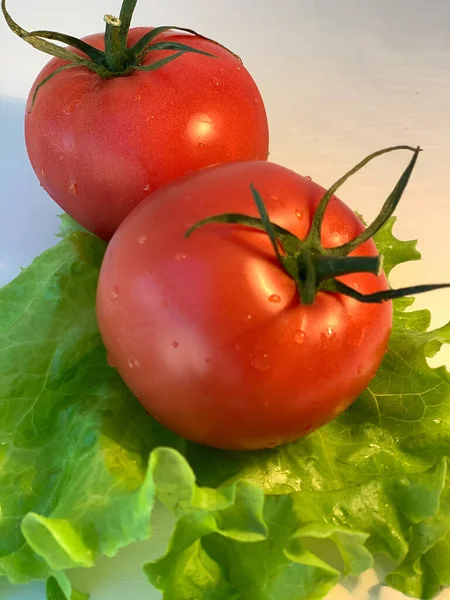 Gemüse Tomaten Mit Grünem Salat — Stockfoto