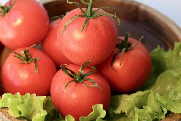 Tomates Vegetais Vermelhos Alface Cozinha — Fotografia de Stock