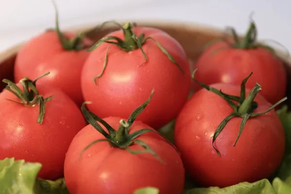 Rotes Gemüse Tomaten Und Salat Der Küche — Stockfoto