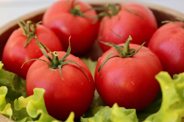 Pomodori Verdure Rosse Lattuga Cucina — Foto Stock