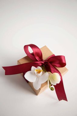 Noel 'de hediye kutuları ve kartpostal olarak bir orkide çiçeği.