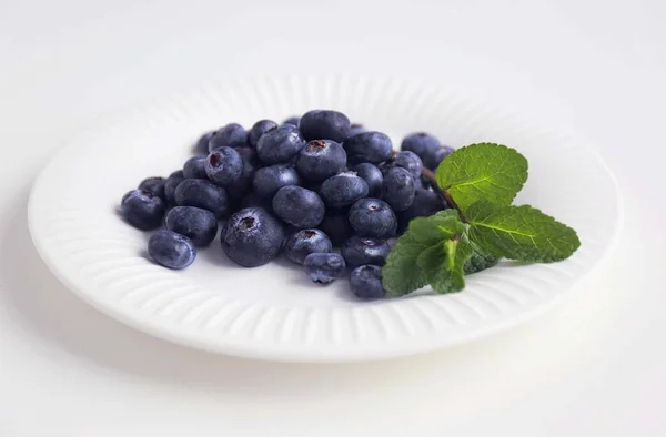 Blueberries Bowl White Background — Stock Photo, Image