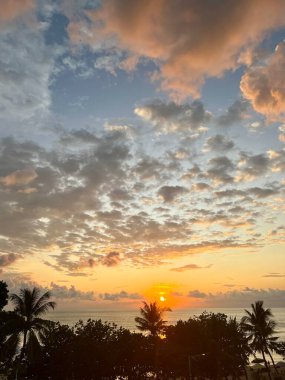 Deniz kıyısında gün batımı ve palmiye ağaçları