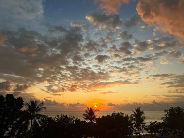 Deniz kıyısında gün batımı ve palmiye ağaçları
