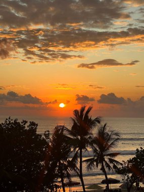 Deniz kıyısında gün batımı ve palmiye ağaçları