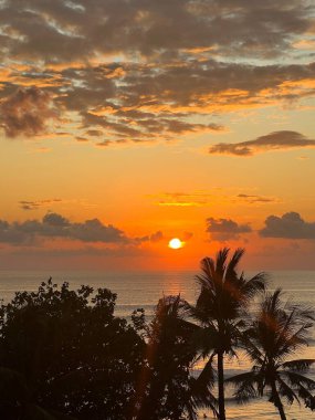 Deniz kıyısında gün batımı ve palmiye ağaçları