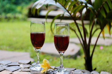 Tropiklerin bahçesinde iki kadeh kırmızı şarap.