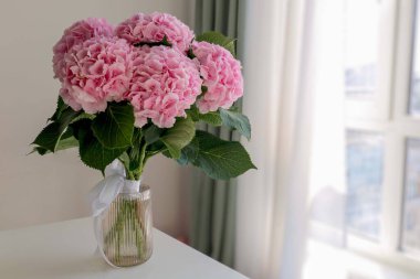 Vazodaki pembe çiçek ortancaları