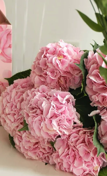 Розовый Цветок Гортензии Качестве Фона — стоковое фото
