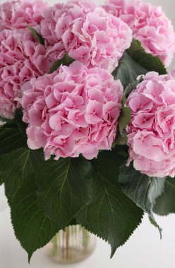 bouquet of pink hydrangeas in a vase on the table