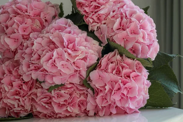 Bouquet Pink Hydrangeas White Table — Zdjęcie stockowe