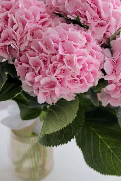 Bouquet Pink Hydrangeas Vase Table — стоковое фото
