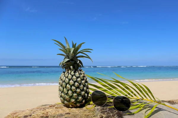 Coconut Palm Tree Beach — Stock Photo, Image
