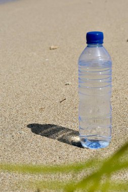 Okyanusta saydam su şişesi ve palmiye yaprağı