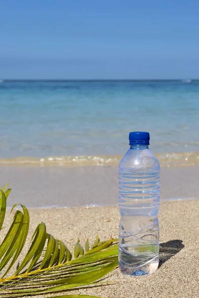 Botol Air Transparan Laut Dan Daun Palem — Stok Foto