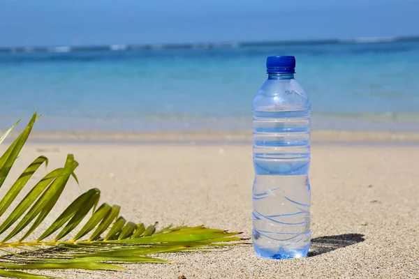 Transparent Bottle Water Ocean Palm Leaf — Foto de Stock