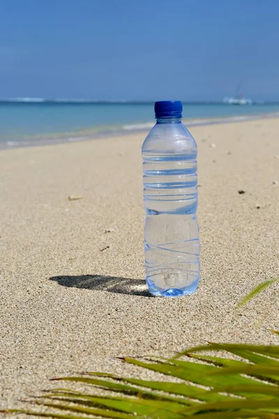 Transparent Bottle Water Ocean Palm Leaf — Stockfoto