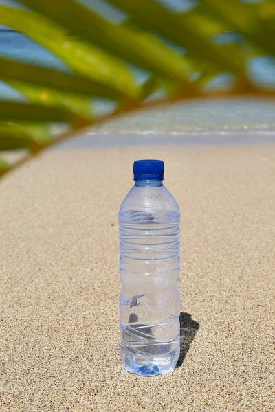 Transparent Bottle Water Ocean Palm Leaf — Foto de Stock