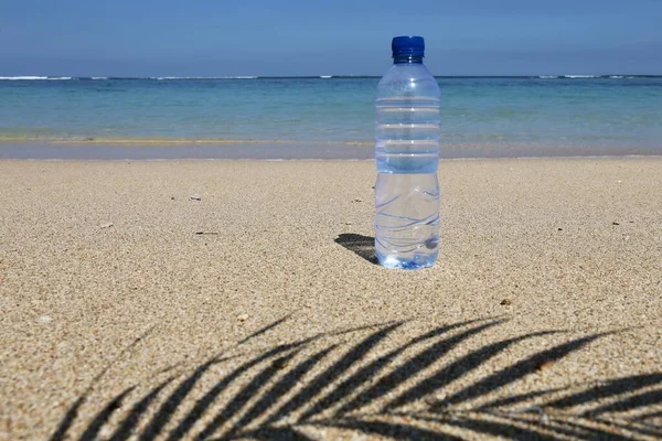 Transparent Bottle Water Ocean Palm Leaf — 스톡 사진