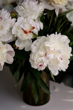  bouquet of white flowers peonies in the vase on table