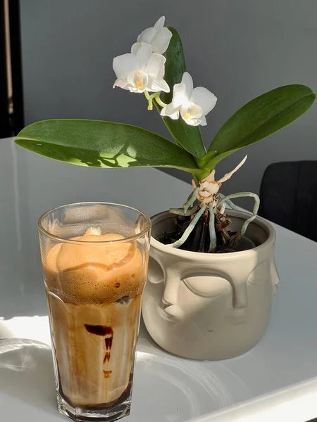 Morning Coffee Foam Orchid Flower Table — Φωτογραφία Αρχείου