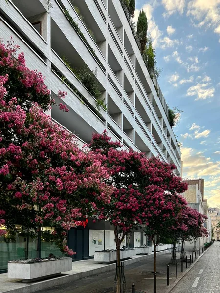 Bürogebäude Mit Blumen Der Stadt — Stockfoto