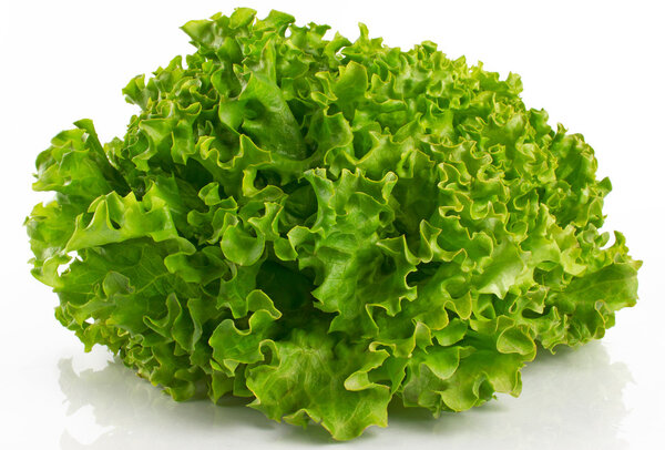 Lettuce