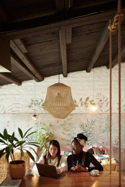 İki güzel çok kültürlü kız öğrenci bir kafede oturuyor ve dizüstü bilgisayardan konferans izliyorlar. Eğitimde teknoloji.