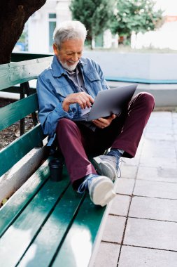 Mutlu bir son sınıf öğrencisi parkta bankta oturur ve dizüstü bilgisayarını kucağında tutar. Eğitimdeki son sınıf öğrencileri.