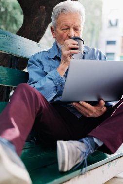 Bir son sınıf öğrencisi parkta bankta oturuyor, kahvesini yudumluyor ve dizüstü bilgisayarını kucağında tutuyor. Eğitimdeki son sınıf öğrencileri.