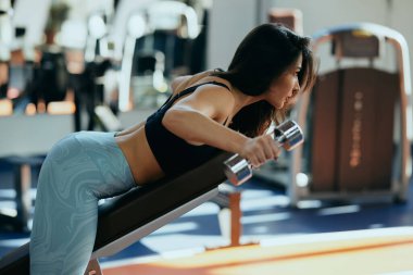 Dişi bir vücut geliştirici bir bankta eğilir ve dambıllarla sırt egzersizi yapar..