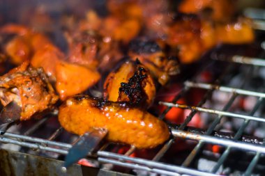 Delicious Grilled Tandoori of Assorted Meats over Charcoal and hot grill on Skewers.