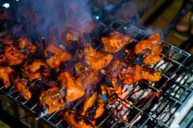 Delicious Grilled Tandoori of Assorted Meats over Charcoal and hot grill on Skewers.