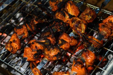 Delicious Grilled Tandoori of Assorted Meats over Charcoal and hot grill on Skewers.