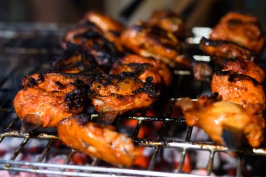 Delicious Grilled Tandoori of Assorted Meats over Charcoal and hot grill on Skewers.