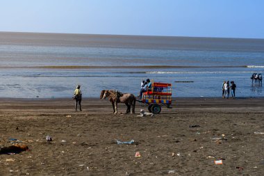 Mumbai, Maharashtra - 9 Ocak 2022: Bir adam at arabasını turistler için plaja götürüyor. Sahilde at arabası gezintisi