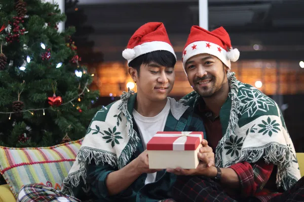 Adorável Sorrindo Casal Lgbt Segurando Caixa Presente Dois Homens Tendo — Fotografia de Stock