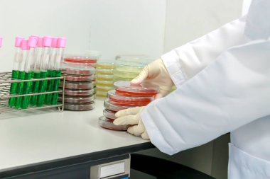 Mikrobiyologlar mikroorganizma, mantar ve mikrop kültürleriyle el ele tutuşuyorlar. Cam kaplama kulesindeki renkli sıvı, laboratuvarda çalışan biyoteknoloji bilimcisi..