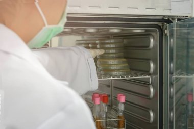 Mikrobiyologlar mikroorganizma, mantar ve mikrop kültürleriyle el ele tutuşuyorlar. Cam kaplama kulesindeki renkli sıvı, laboratuvarda çalışan biyoteknoloji bilimcisi..