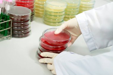 Mikrobiyologlar mikroorganizma, mantar ve mikrop kültürleriyle el ele tutuşuyorlar. Cam kaplama kulesindeki renkli sıvı, laboratuvarda çalışan biyoteknoloji bilimcisi..