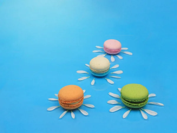 Macaroons Margarida Bonito Macarons Franceses Coloridos Com Flor Pétala Crisântemo — Fotografia de Stock