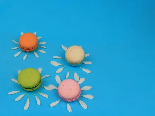 Mignons Macarons Marguerites Macarons Français Colorés Fleur Pétale Chrysanthème Délicieux — Photo