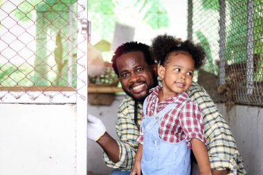 Mutlu çiftçi ailesi sığırlarda birlikte çalışır, gülümseyen Afrikalı baba ve siyah kıvırcık saçlı kız kız tavuk kümesinde tavuk yetiştirir, çocuk ve hediyeler çiftlikte tavuk beslemenin keyfini çıkarırlar..