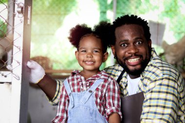 Mutlu çiftçi ailesi sığırlarda birlikte çalışır, gülümseyen Afrikalı baba ve siyah kıvırcık saçlı kız kız tavuk kümesinde tavuk yetiştirir, çocuk ve hediyeler çiftlikte tavuk beslemenin keyfini çıkarırlar..